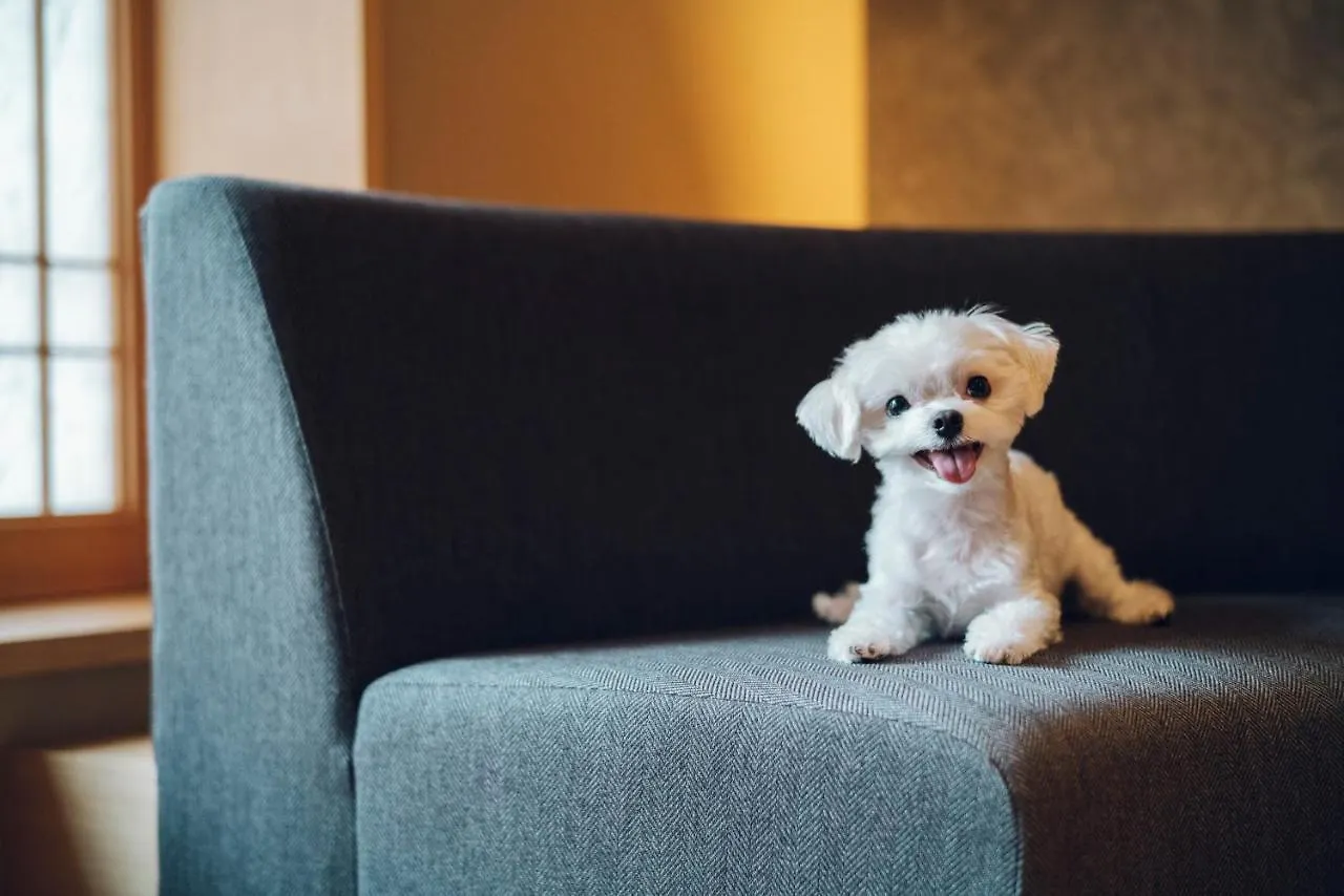 Asahi House Kyoto Dog Friendlyヴィラ 別荘